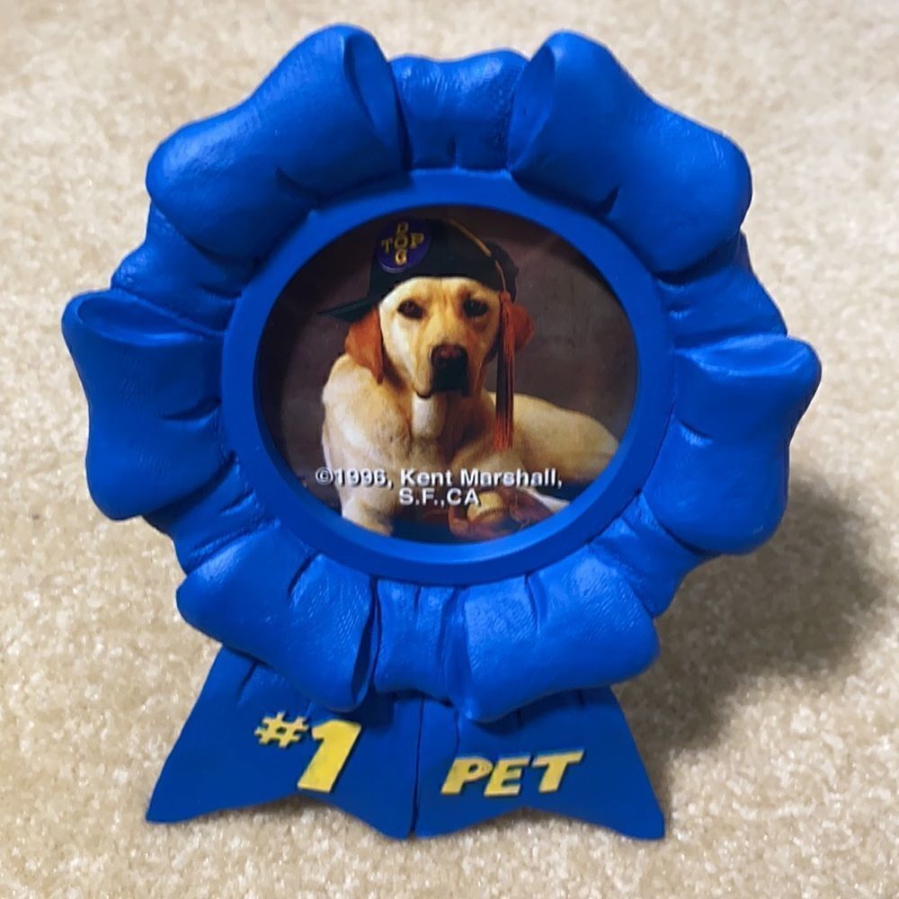 Dog Grooming Bundle with Frame - NEW - Picture 2 of 6